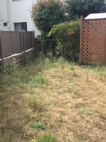 【BEFORE】洋風造園